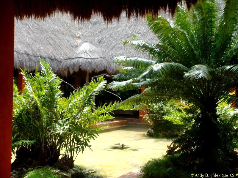 Iberostar Tucan et Quetzal (99).JPG
